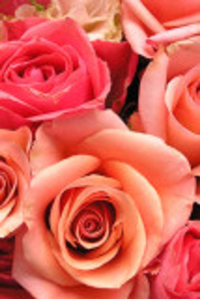 Nancy  R. Allen Profile Photo