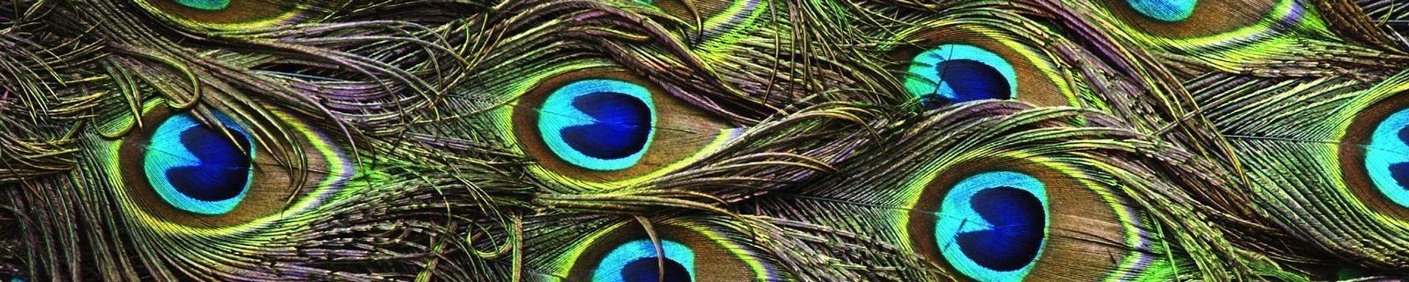 Cover for James 'Jim' Schultz's Obituary