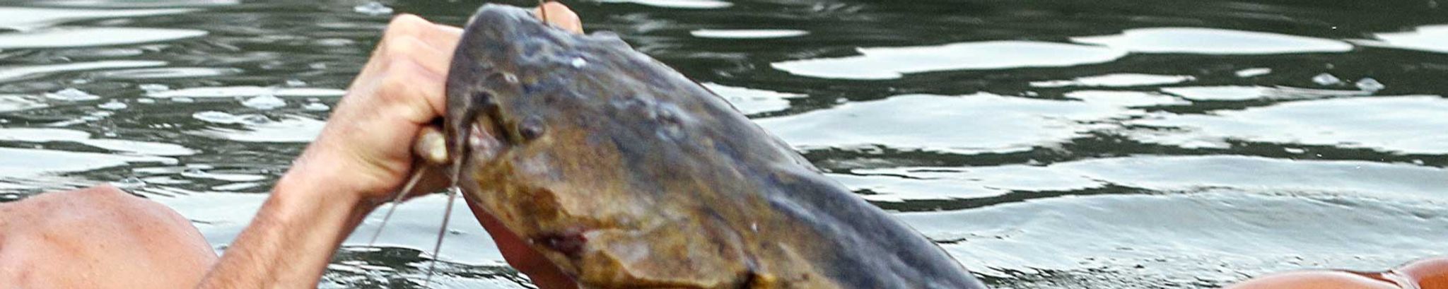 Cover for Kenneth Wayne Williamson's Obituary