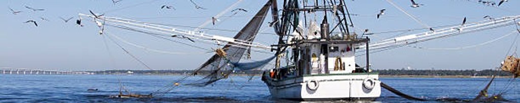 Cover for Gary Francis Graham's Obituary