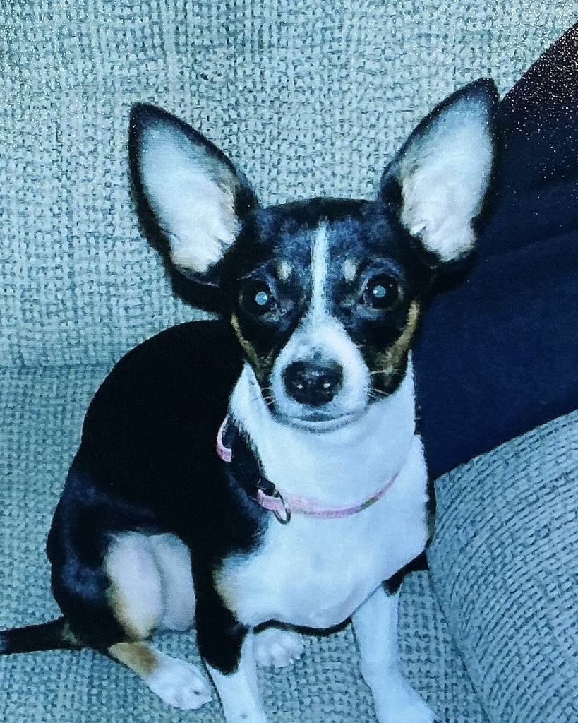 Tinkerbell McKinnon Profile Photo