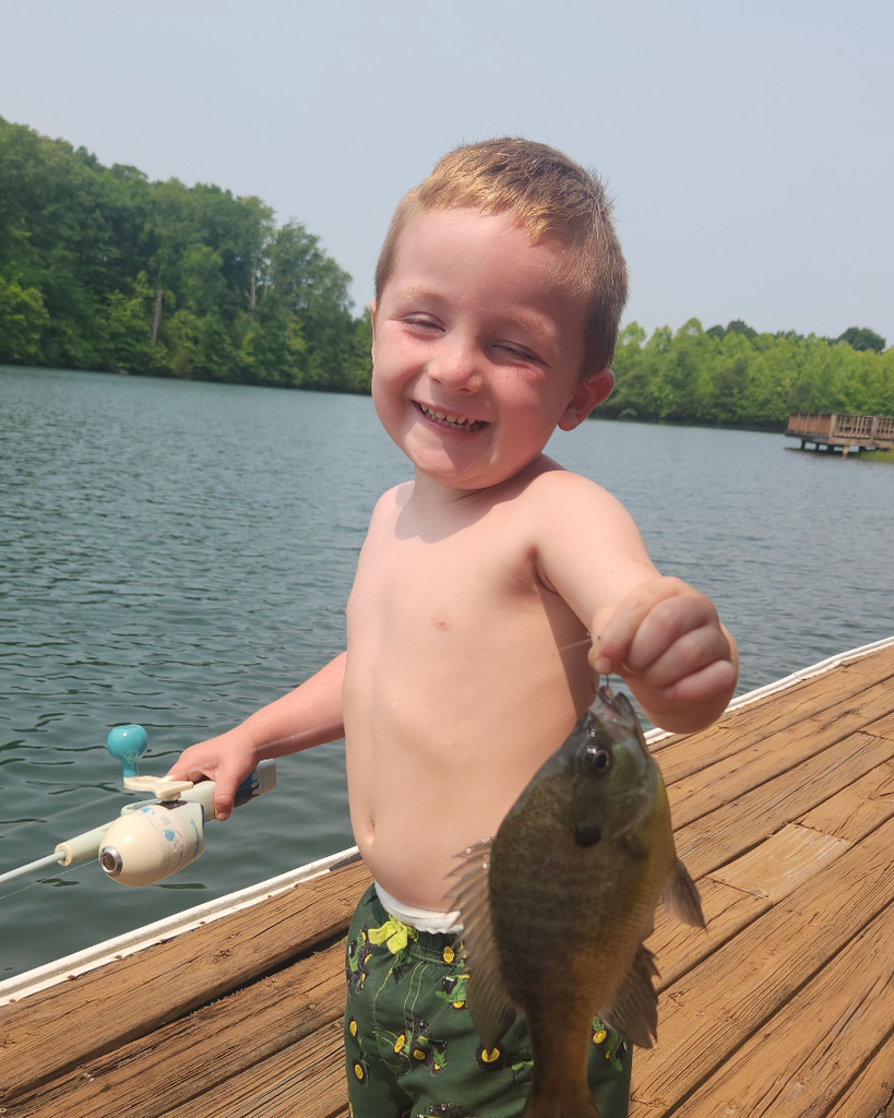 Blaine Edward Boyer