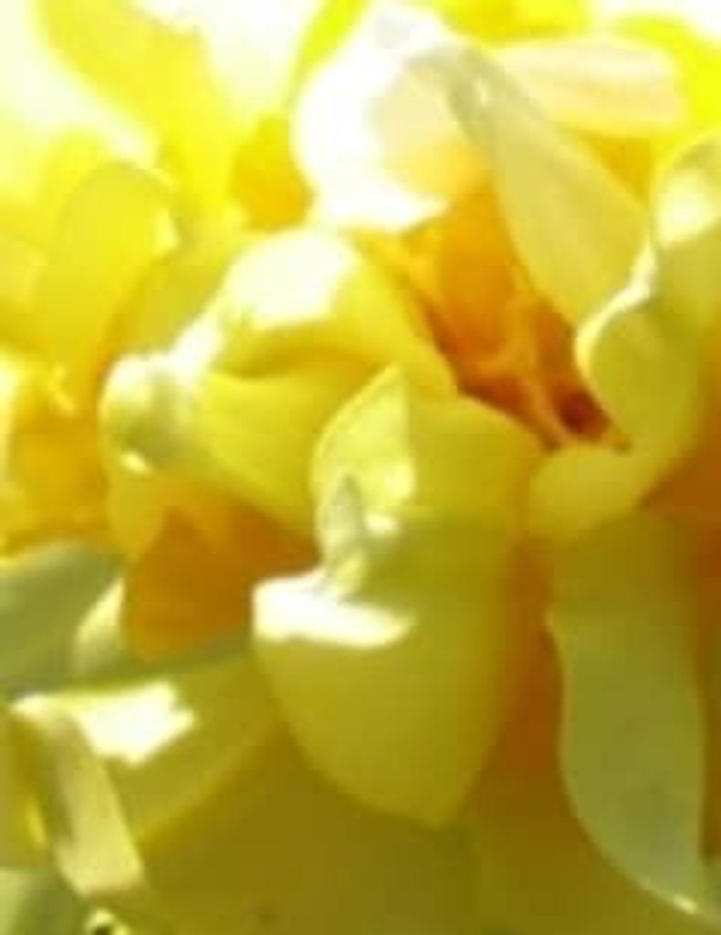 Anthony Brown Profile Photo