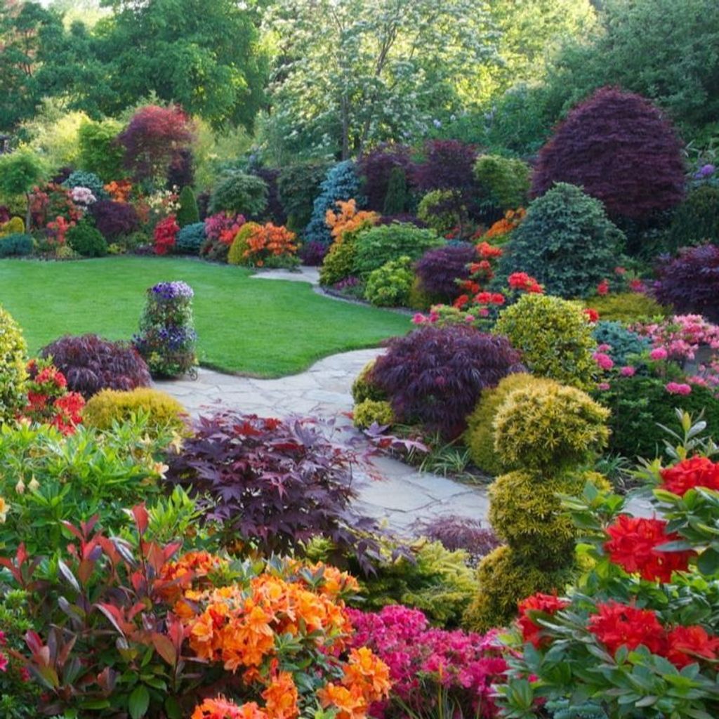 Laura Marie Rinier Profile Photo