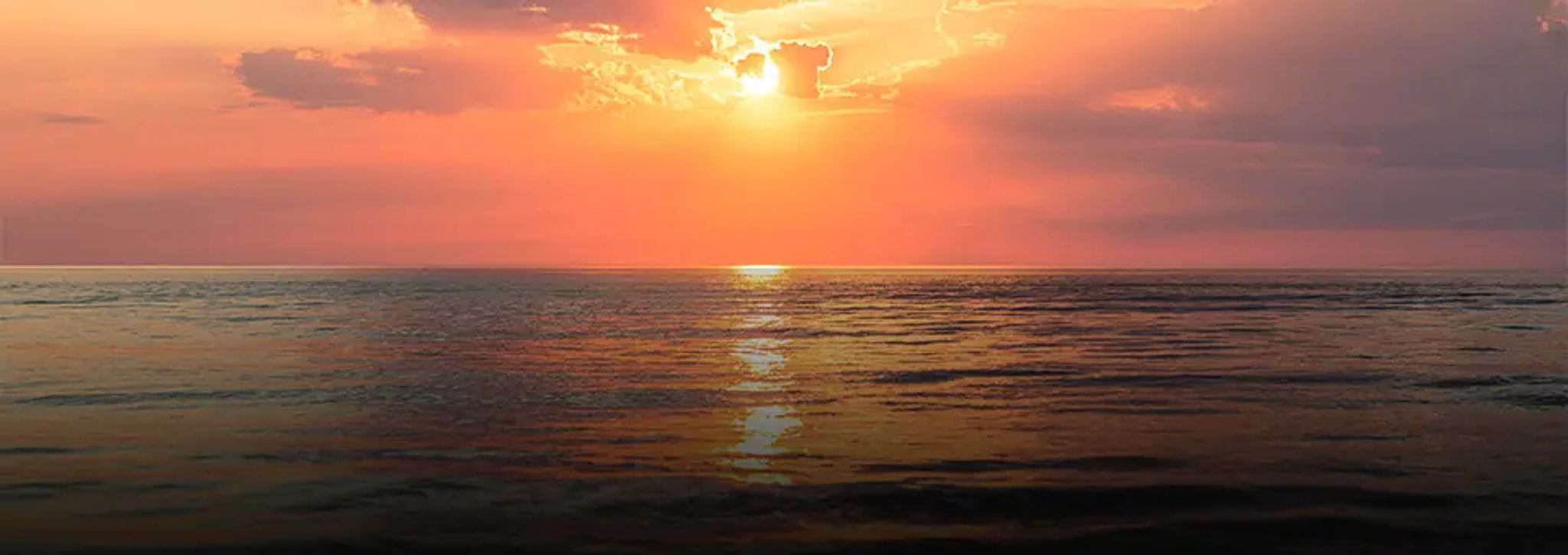 Cover for Kimberly Alanis's Obituary