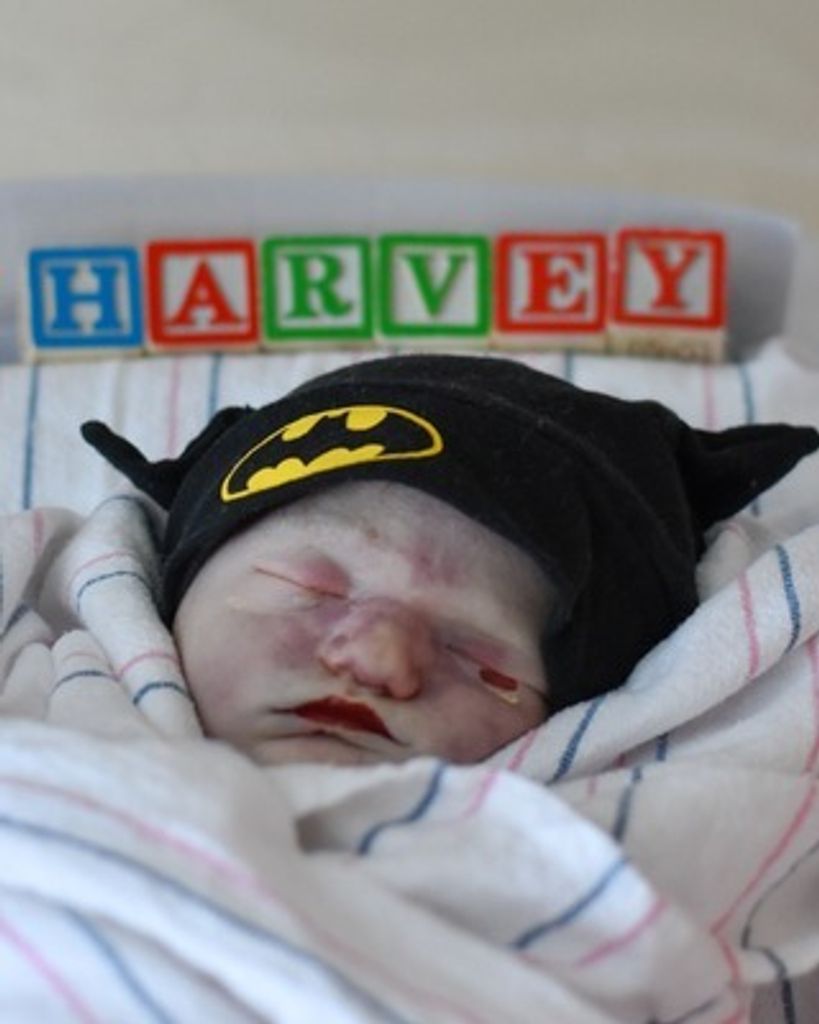 Harvey Louis Stuhr