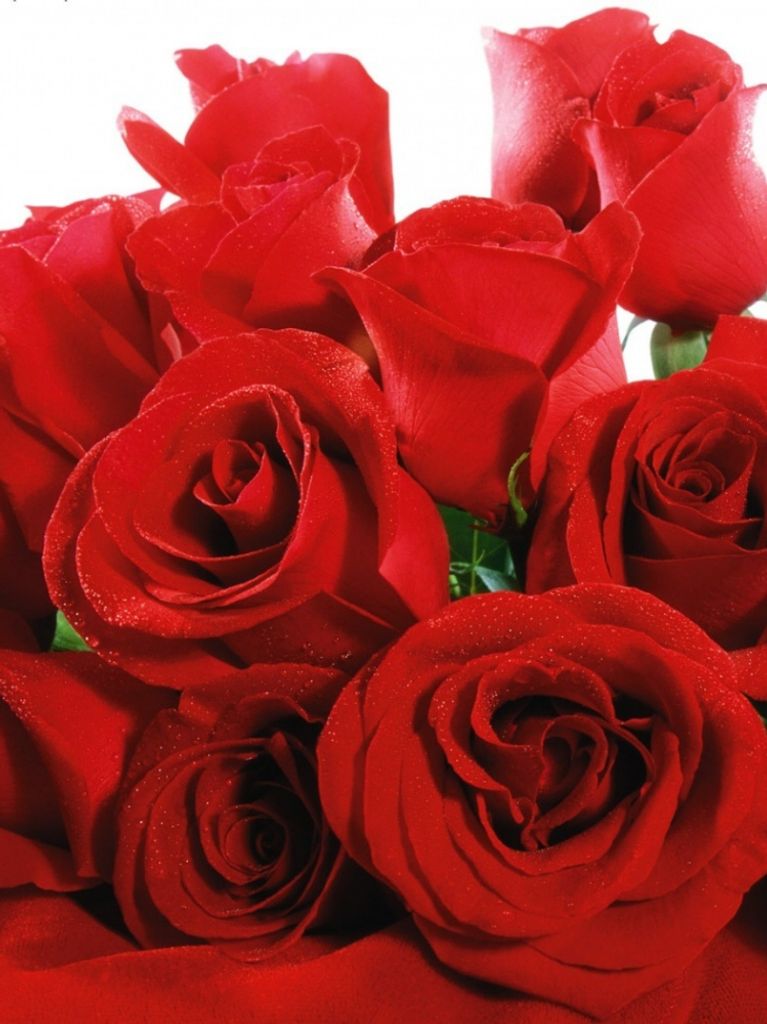 Rose Anna Mitchell
