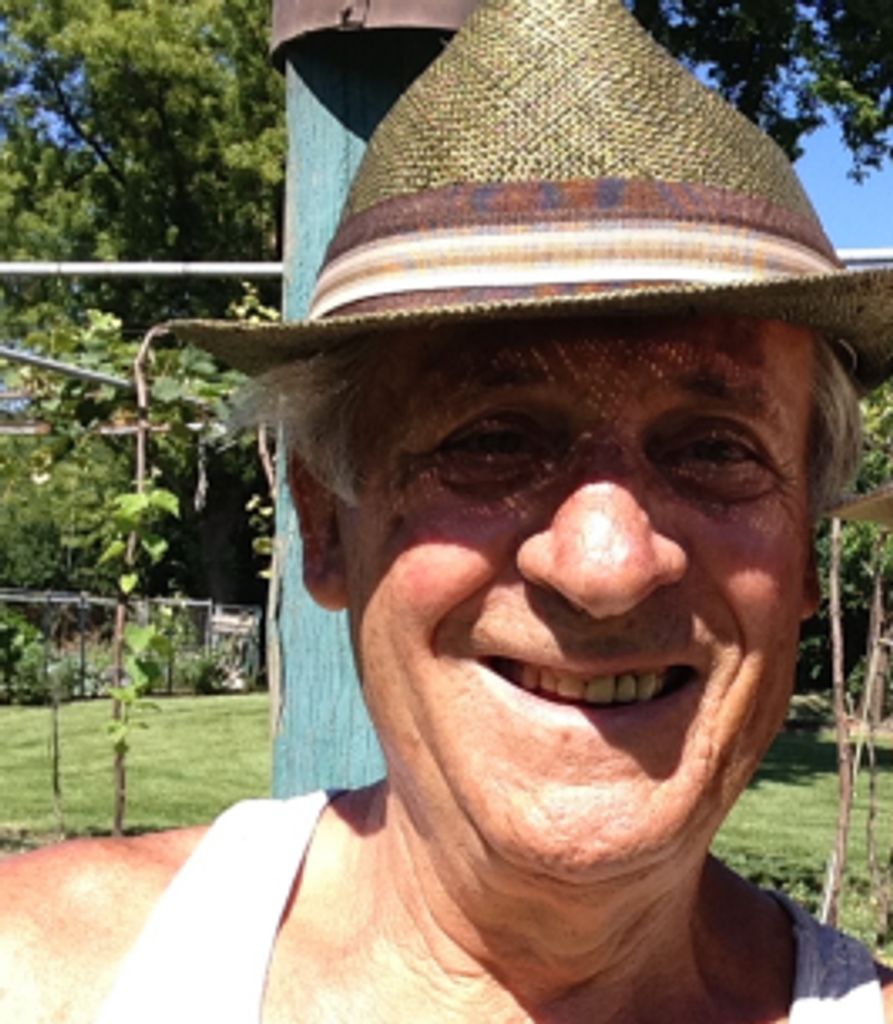 Domenic Parato Profile Photo
