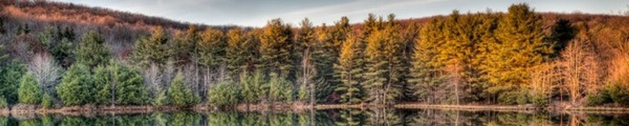 Cover for William J Herbine Jr.'s Obituary