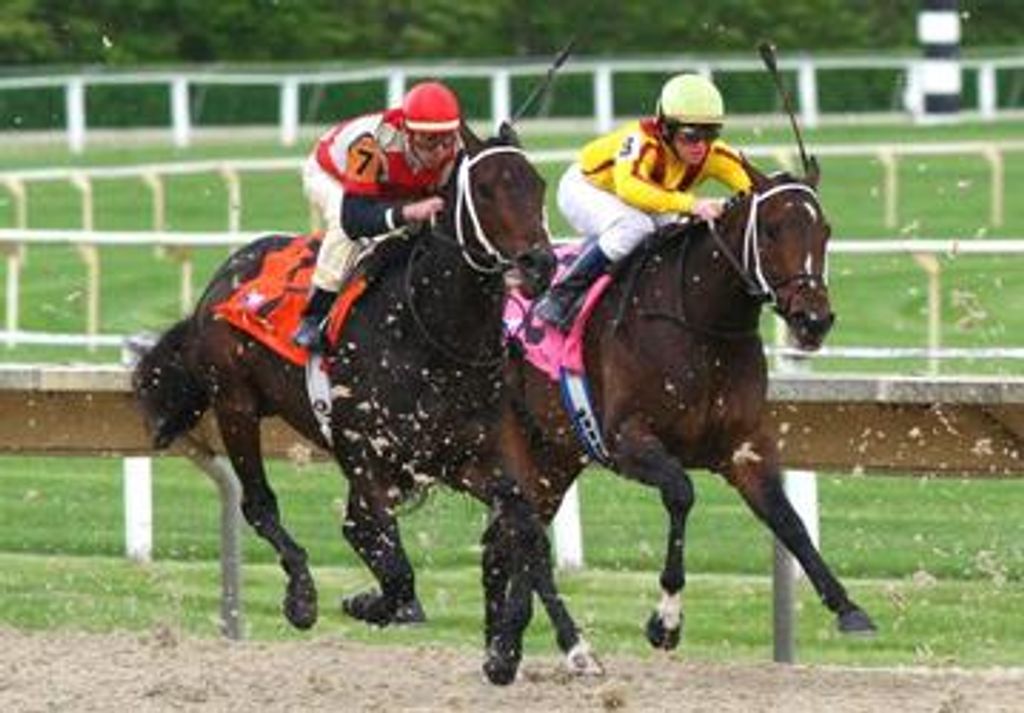 Steve Block Profile Photo