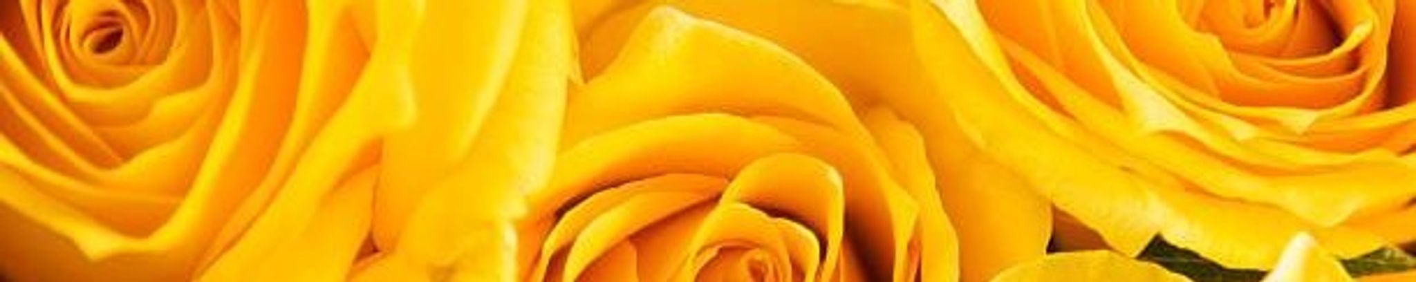 Cover photo for Marie Moore Gerringer's Obituary