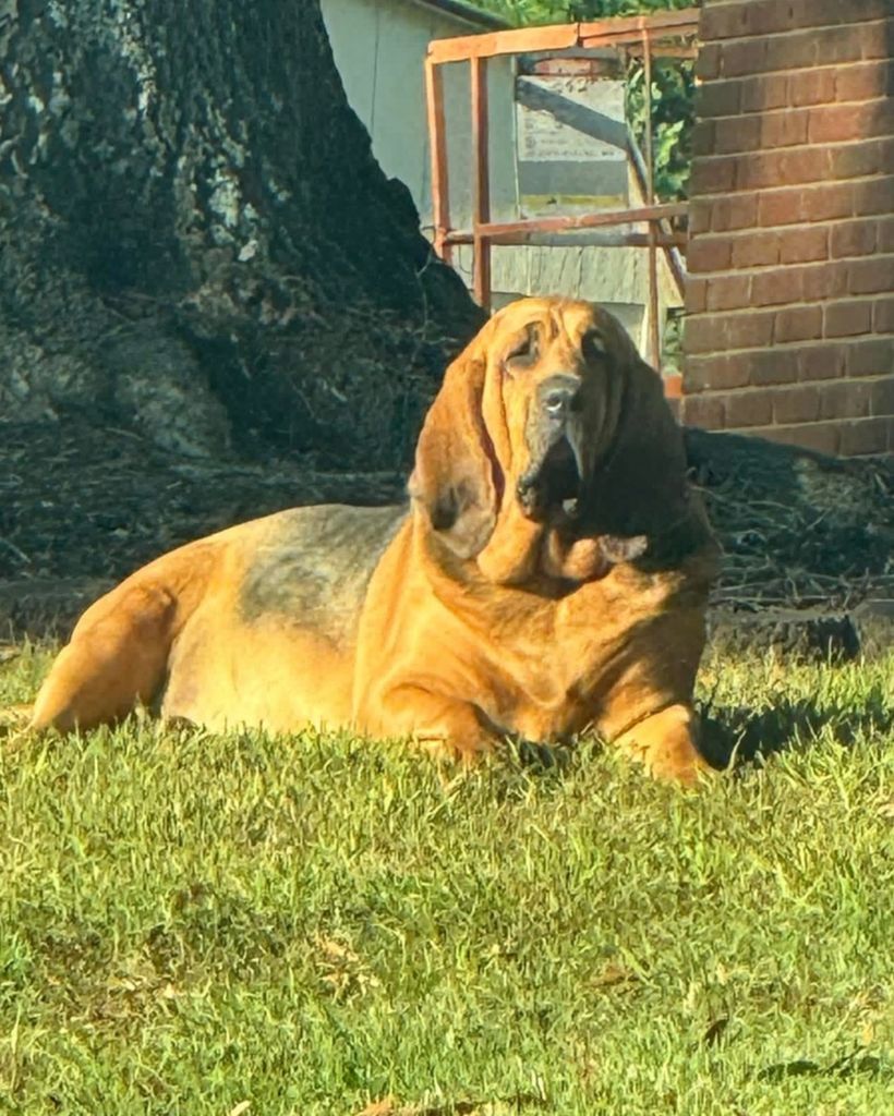 Izzy Fleming Profile Photo