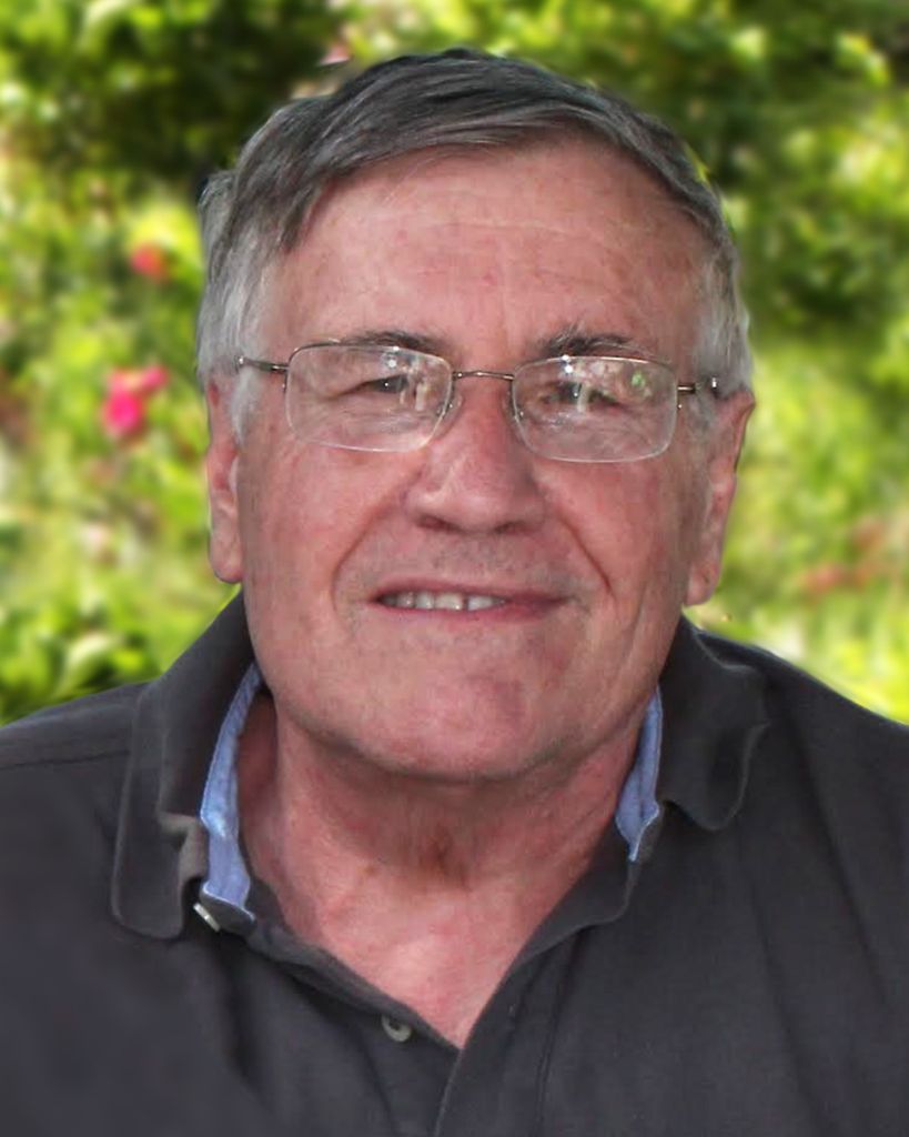 Michael Henry Schmidt DDS