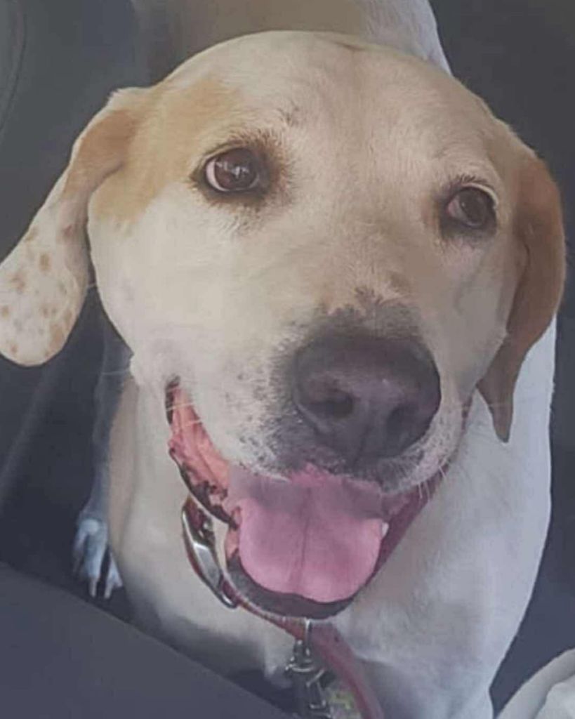 Cookie Cooper Profile Photo