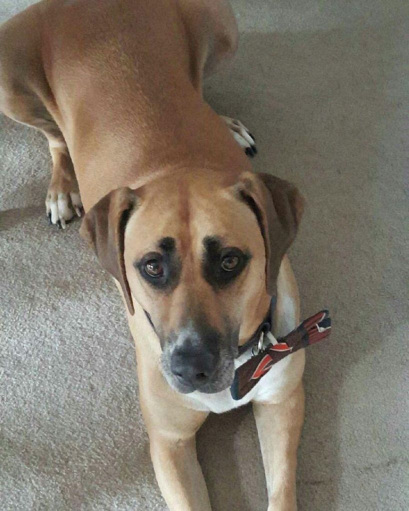 Daisy