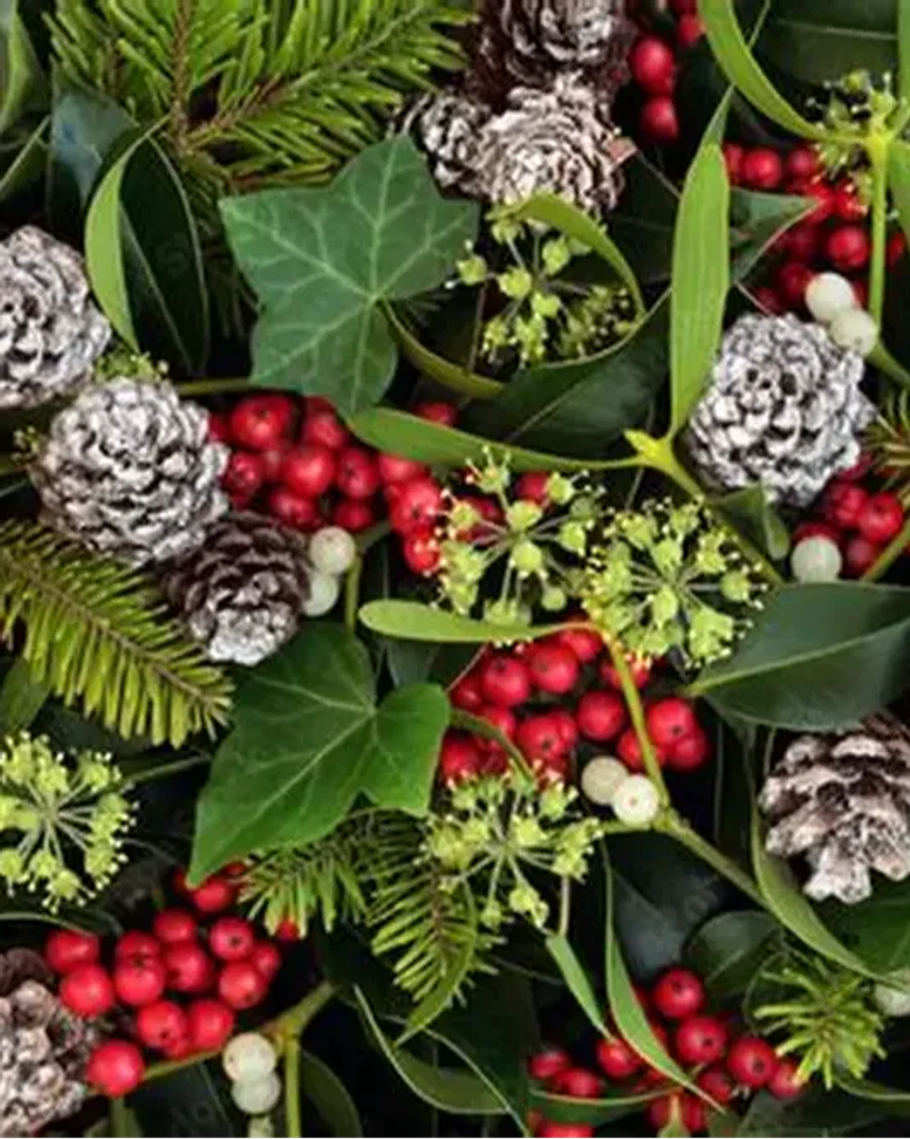 Carrie Carney Profile Photo