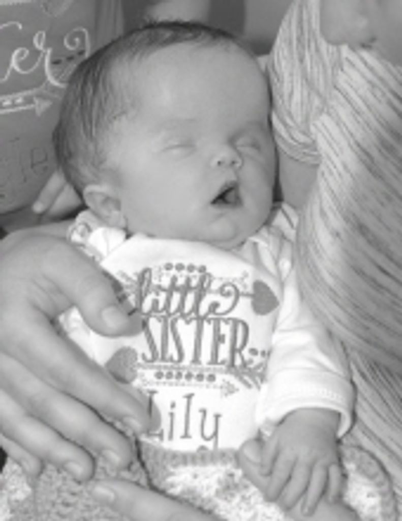 Lily Sue Haynes