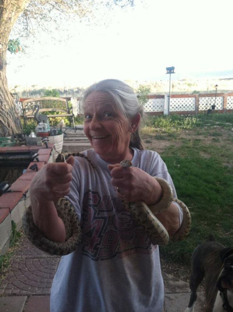Susan Rafn