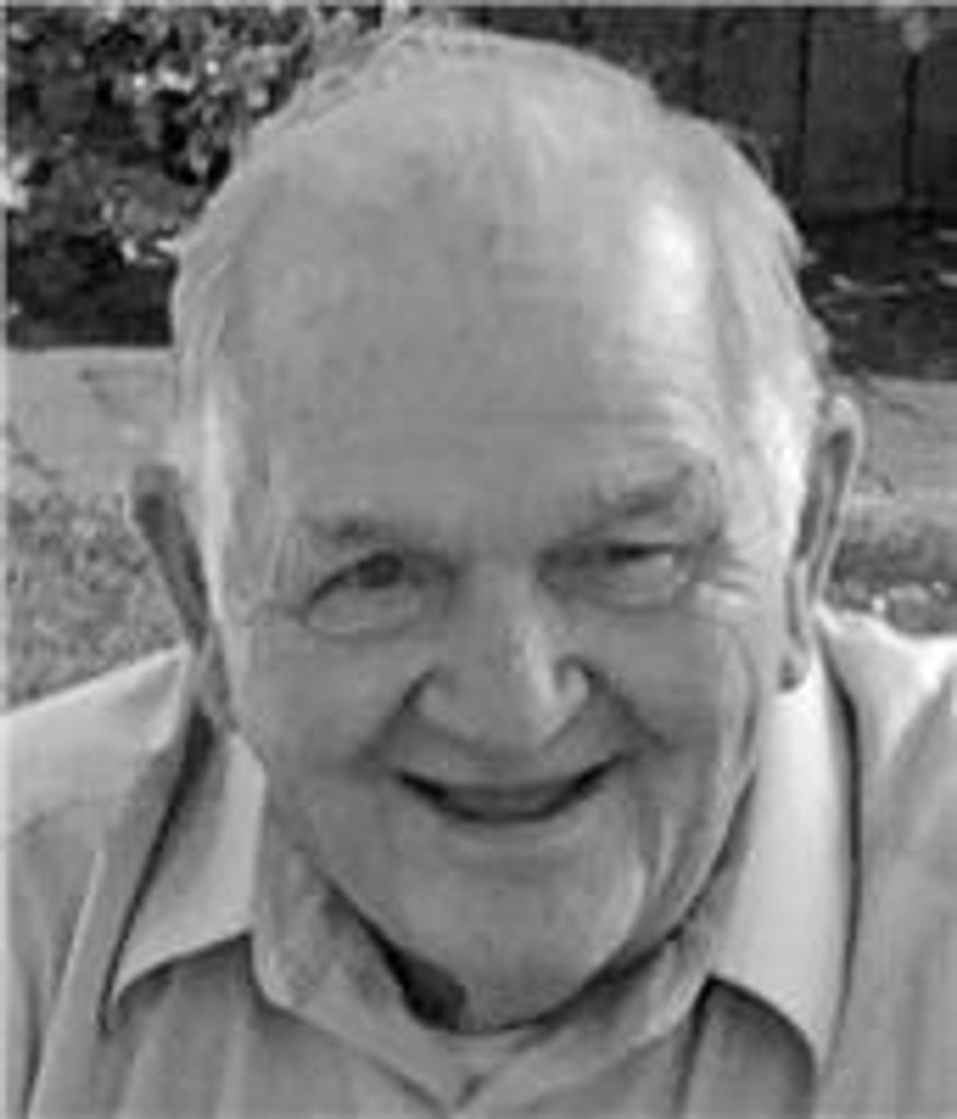 Wayne Nelson Springer Profile Photo