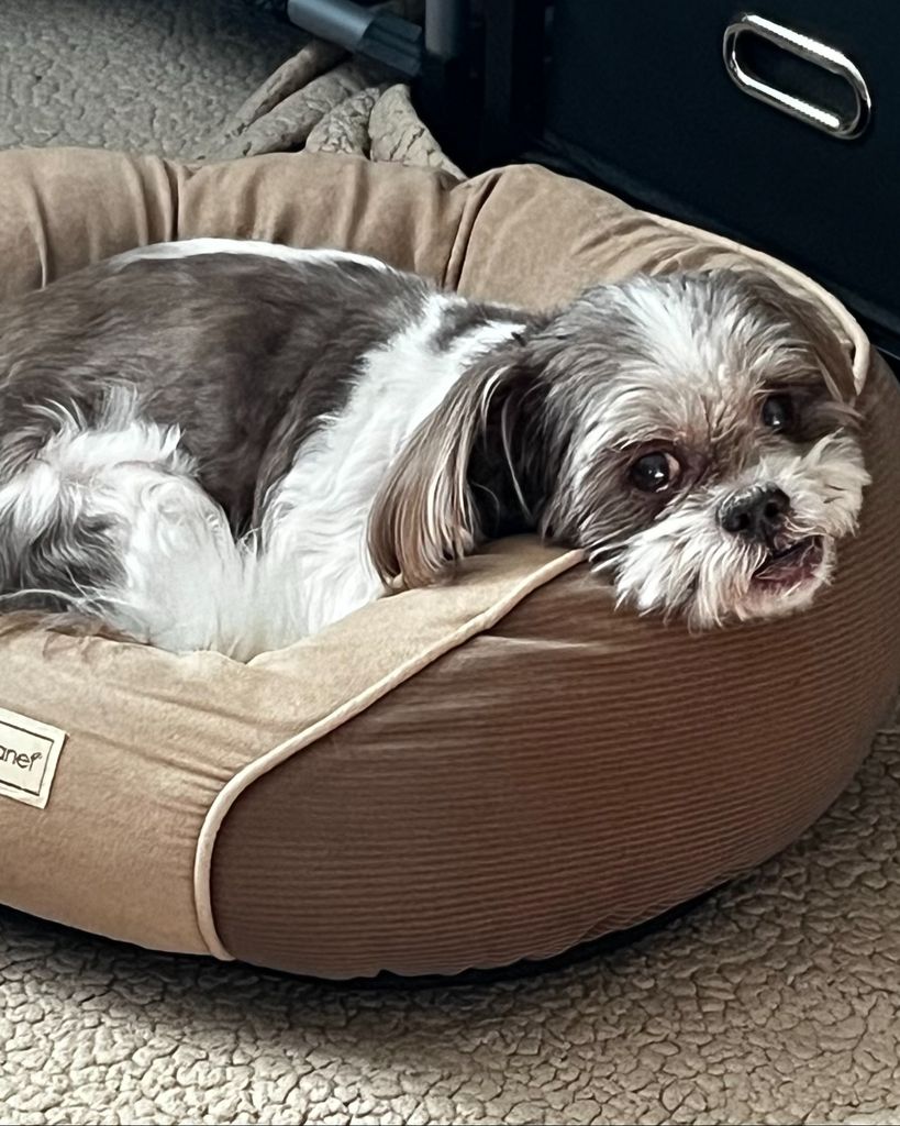 Luca