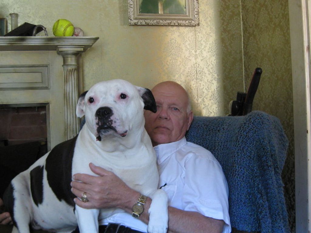 Meldon E. Niemi Profile Photo