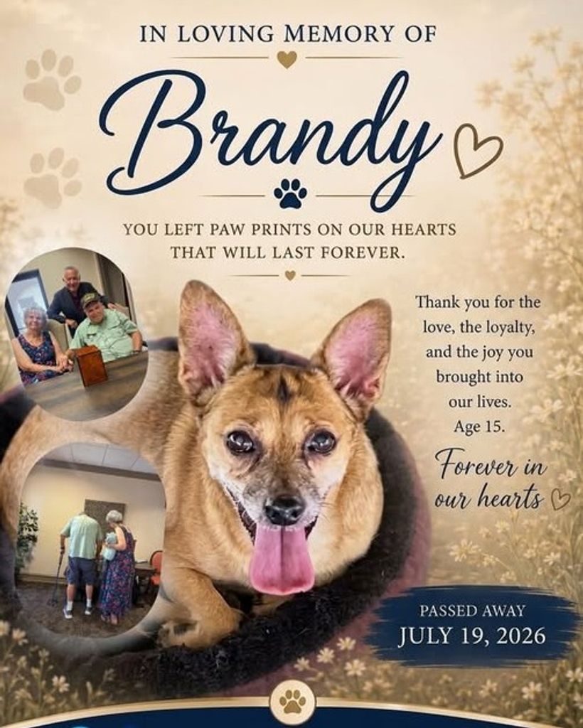 Brandy