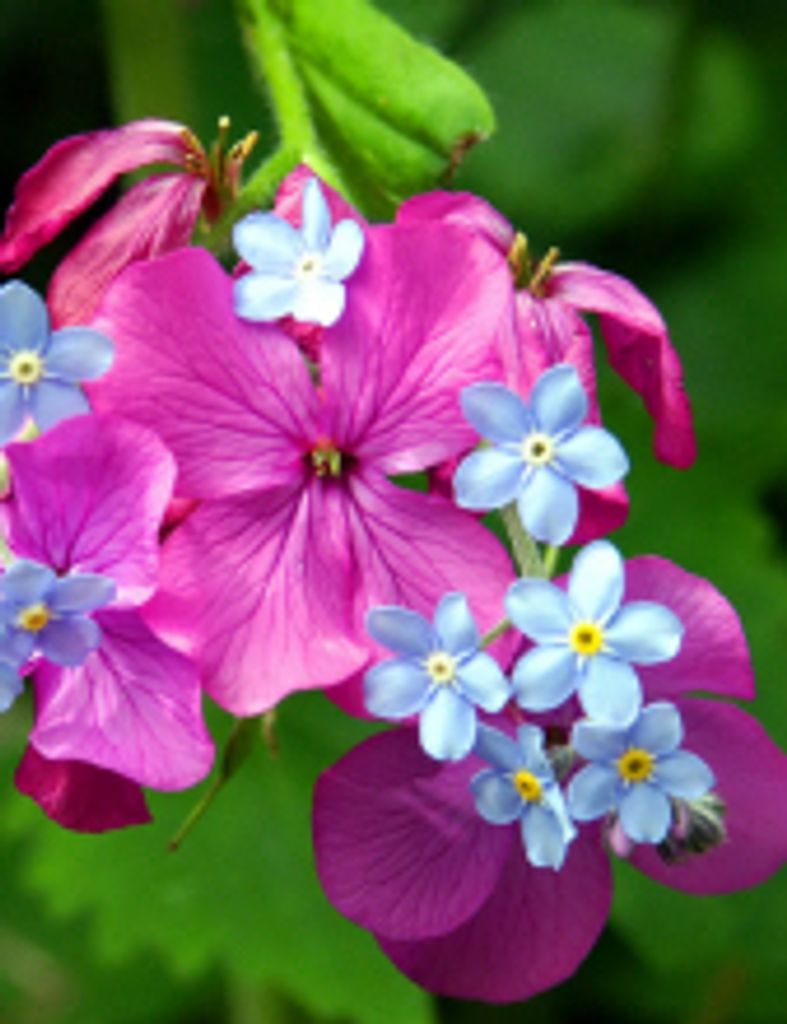 Mary Jane Richardson