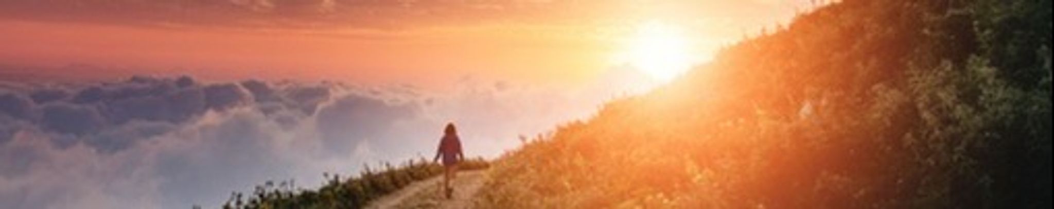 Cover photo for Young Hee (Clara) Han's Obituary
