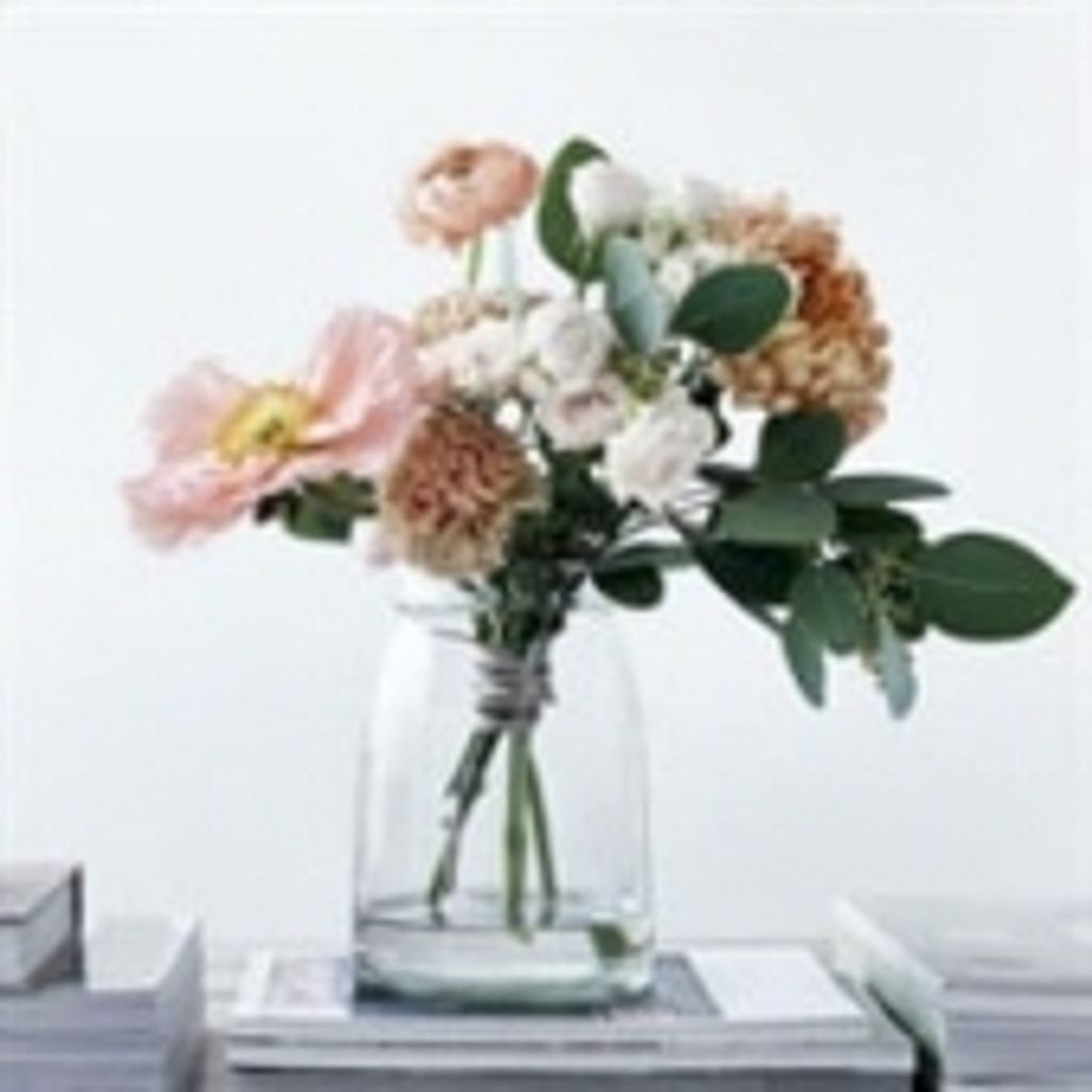 Toni Lynn Dean Haynes