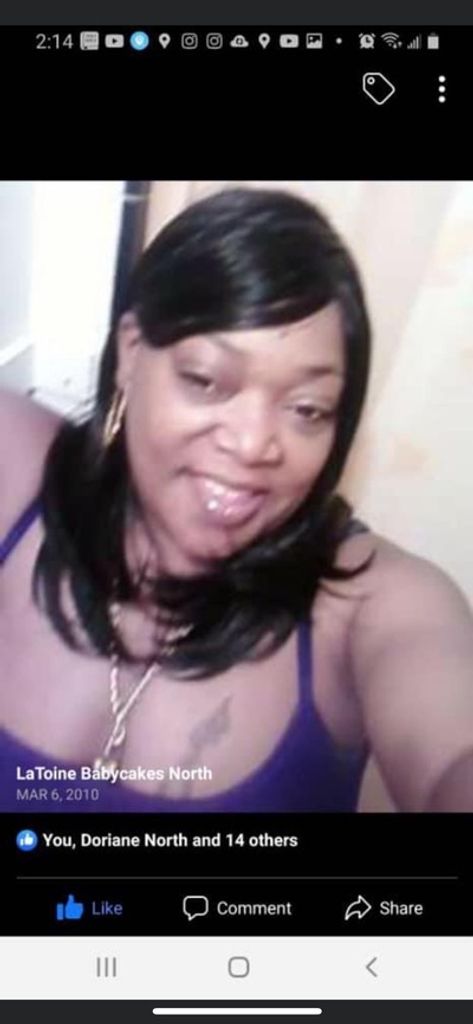 Latoine North Profile Photo