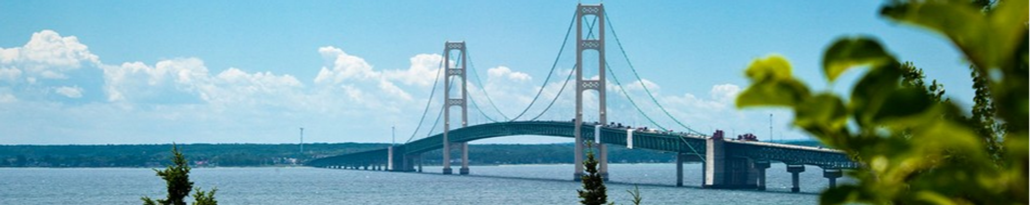 Cover photo for Patty Held's Obituary