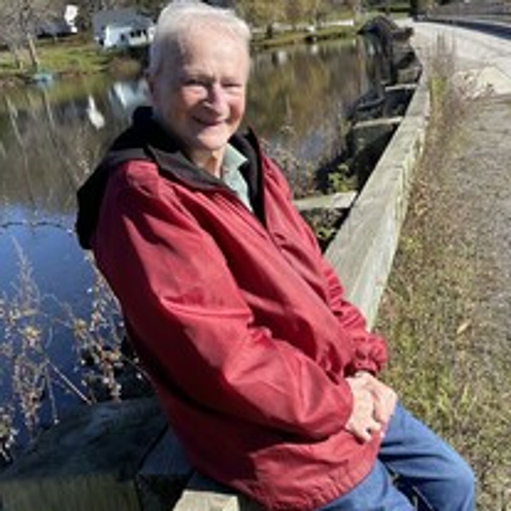 Lily Cecelia Cook Profile Photo