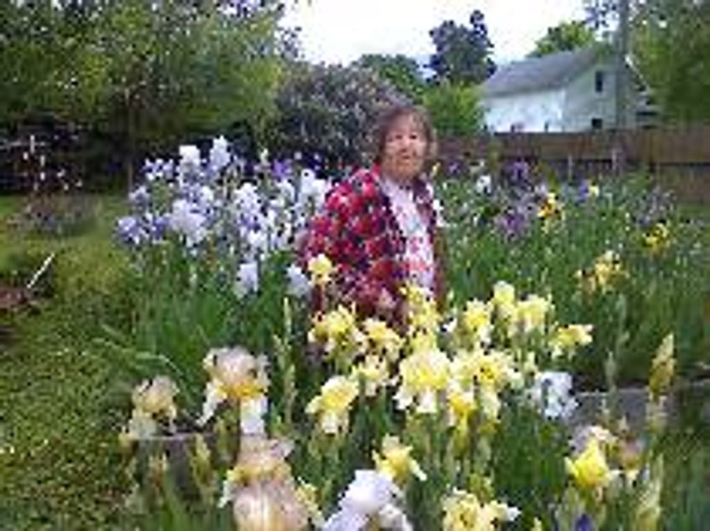 Harriette Shear- Gilligan