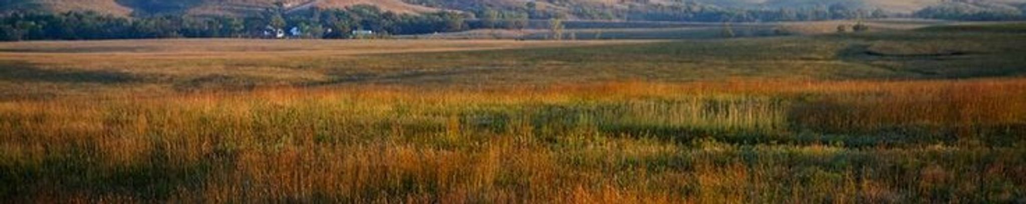 Cover for Edith L. Voorhees's Obituary