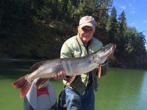 Wayne Baxter Profile Photo