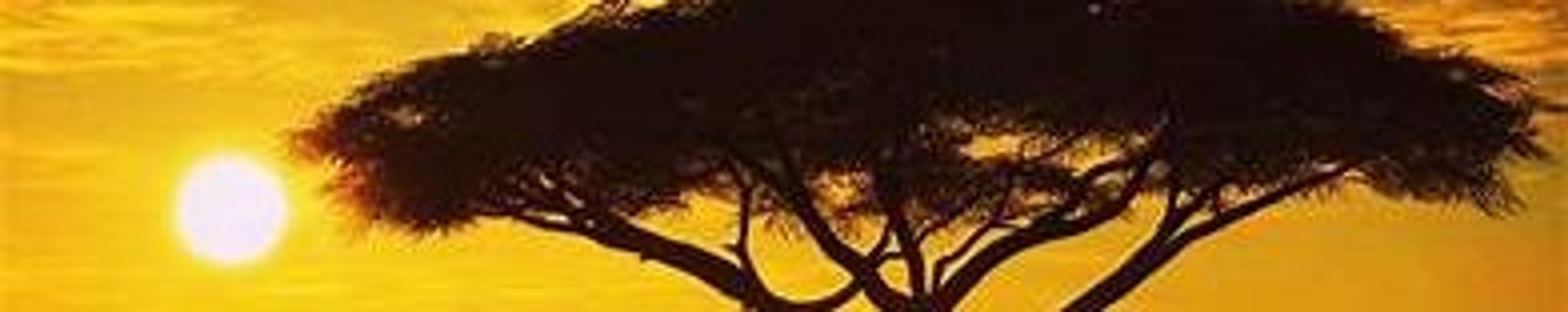 Cover photo for Samuel J.  McNaughton PhD.'s Obituary