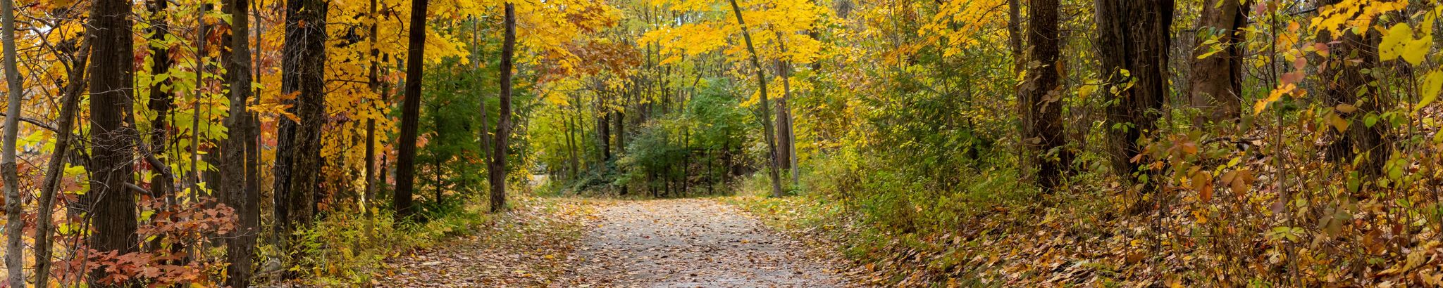 Cover for Edward G. Schanz's Obituary