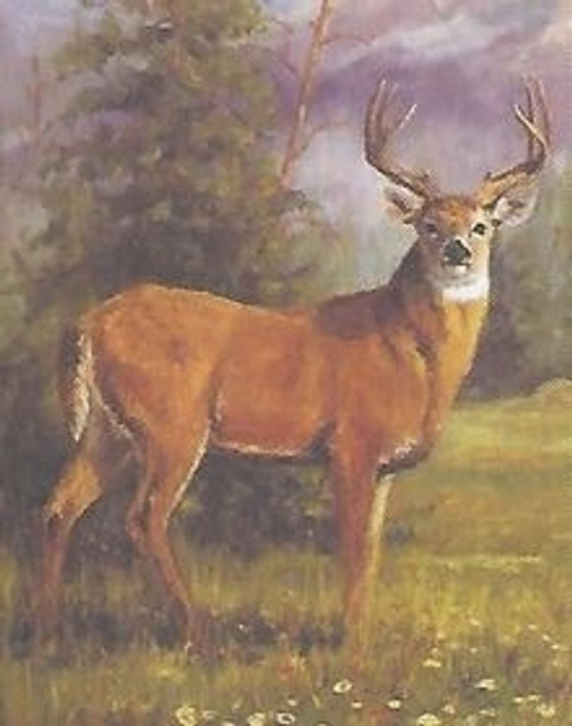Dennis "Bubba" Plummer Profile Photo