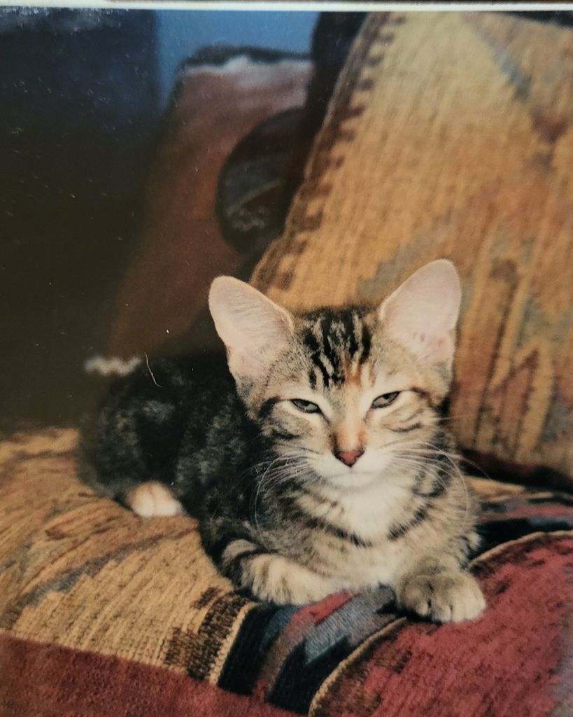 Angel Face Brickey-Melroy Profile Photo