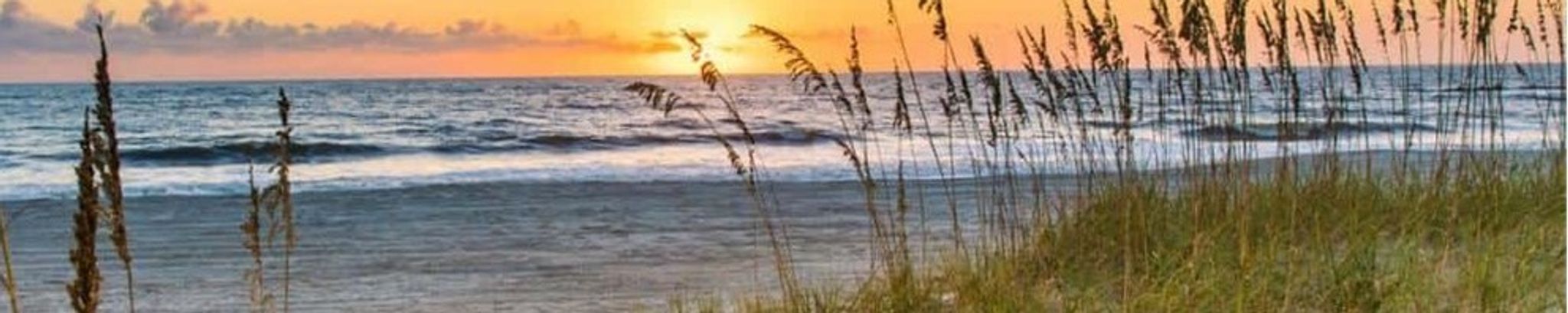 Cover for Melissa Phillips Osthoff's Obituary