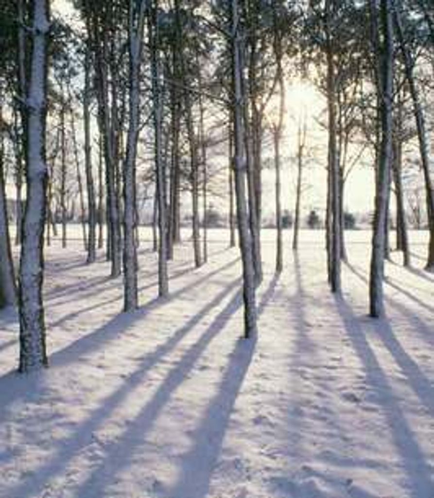 Patrick Krause Profile Photo