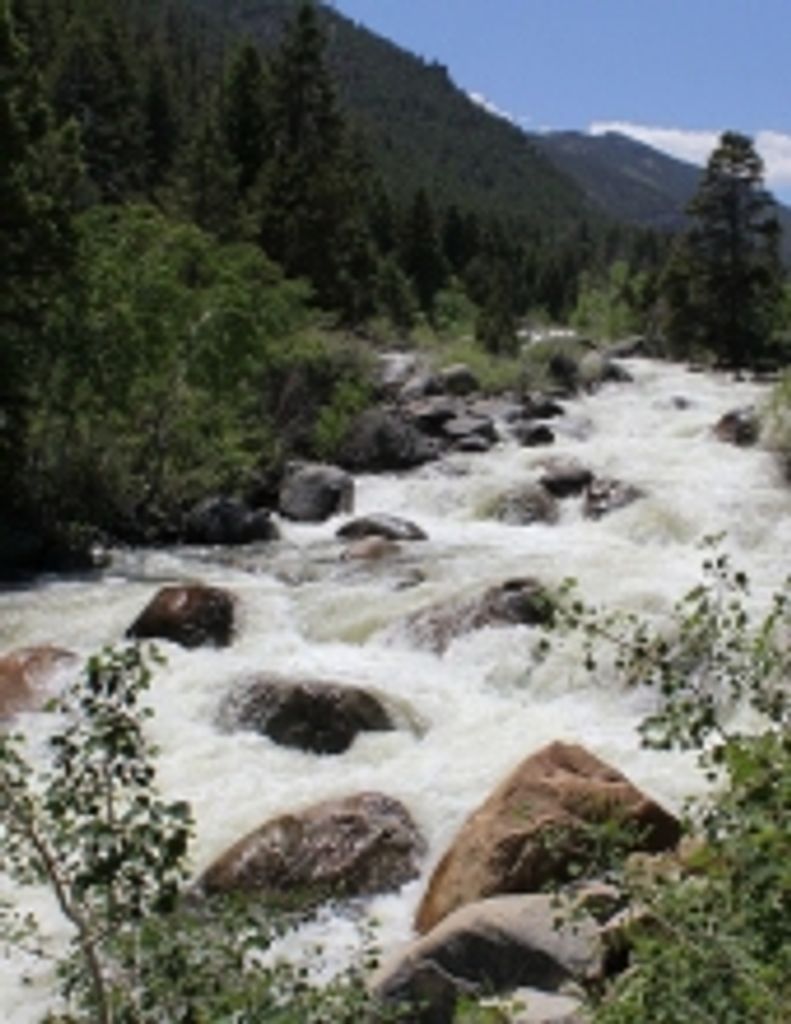 Robert Arthur Hamilton Profile Photo