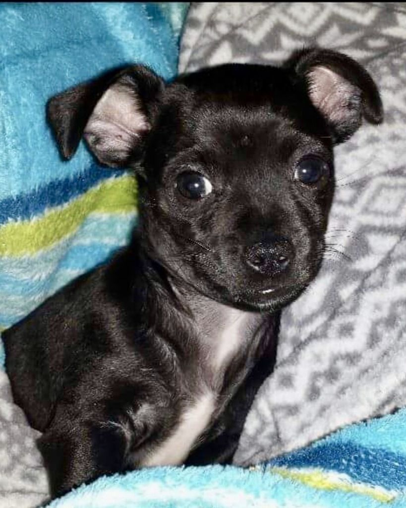 Kona Mendoza Profile Photo