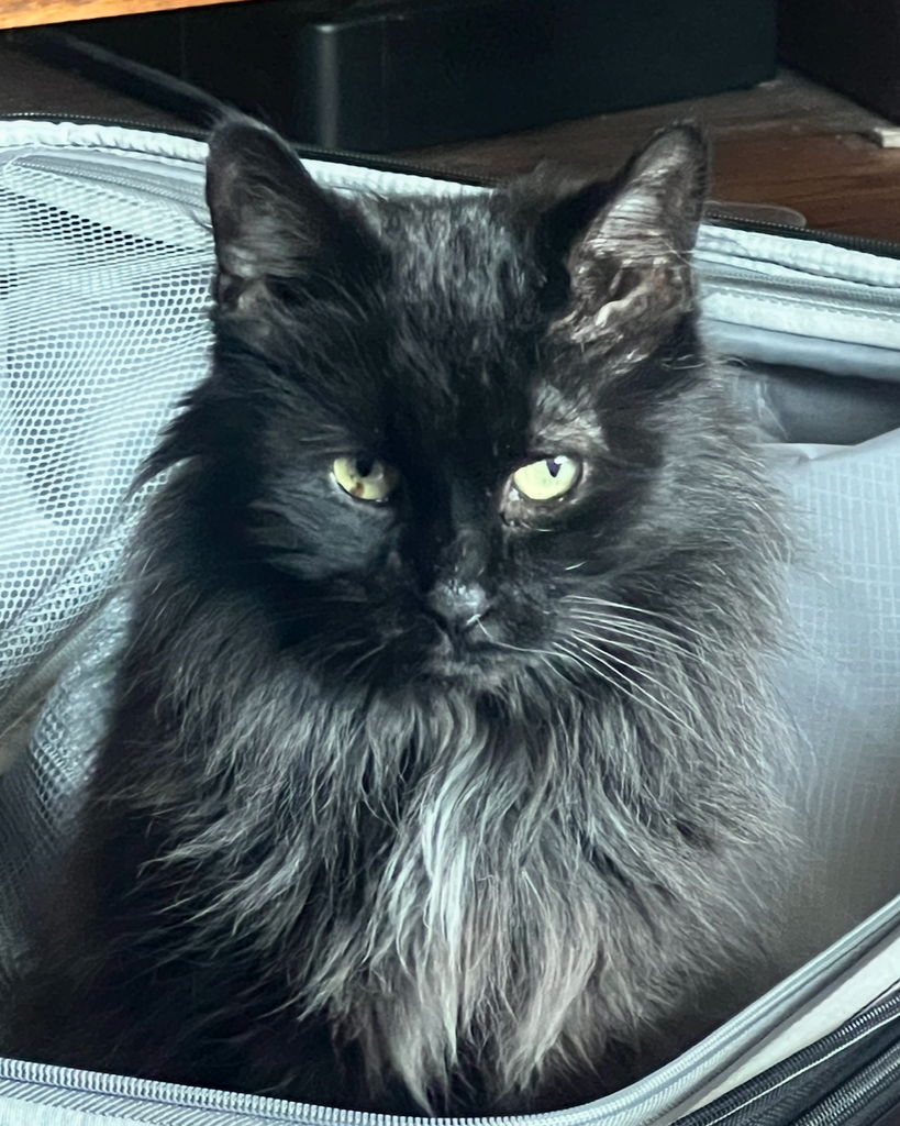 Nessarose Profile Photo