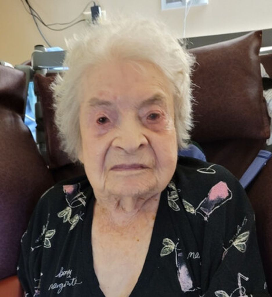 Patricia E. Zimmermann