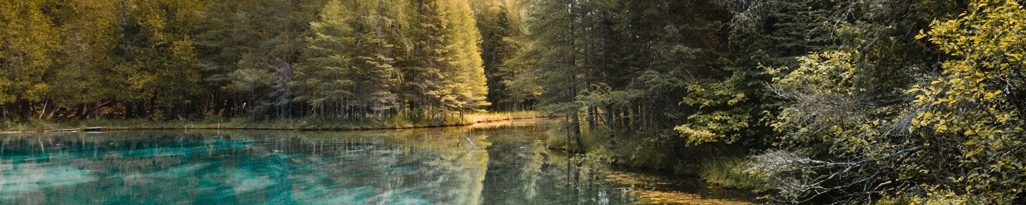 Cover photo for Michael Charles Wolos's Obituary