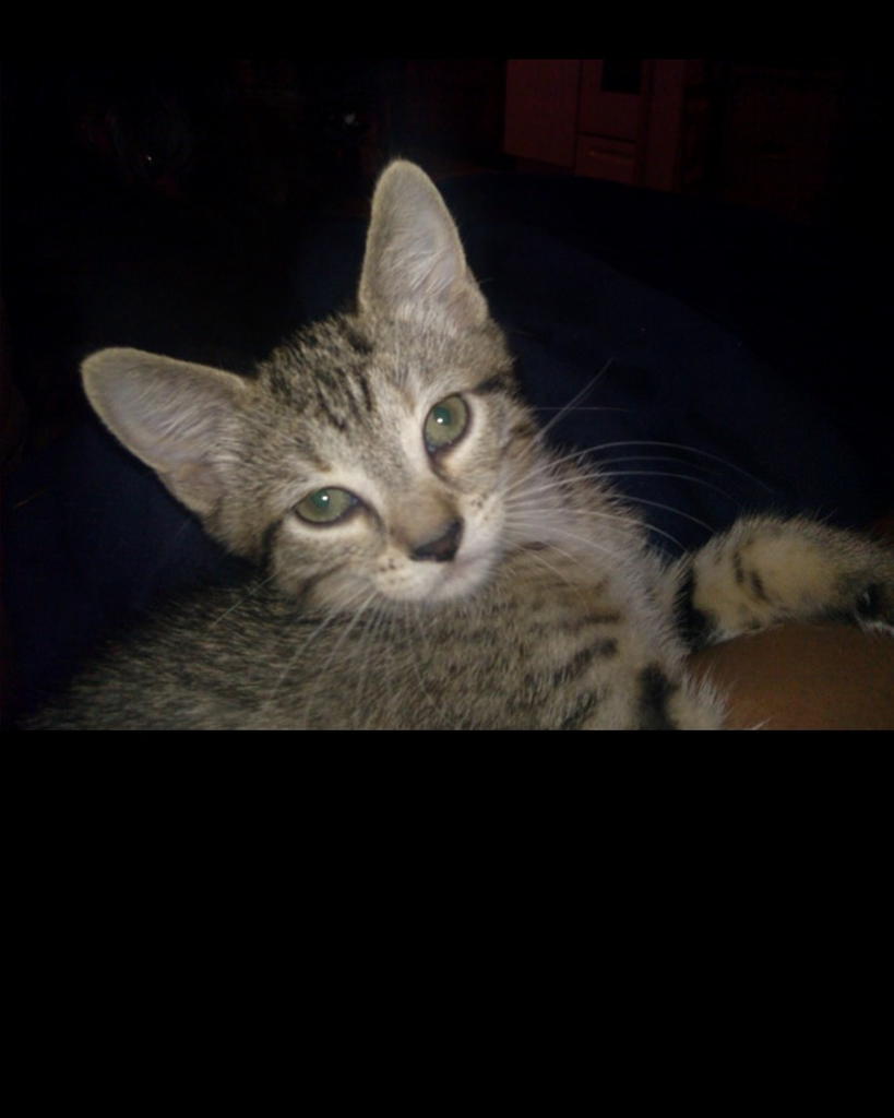 Angel Adams - Beausoleil