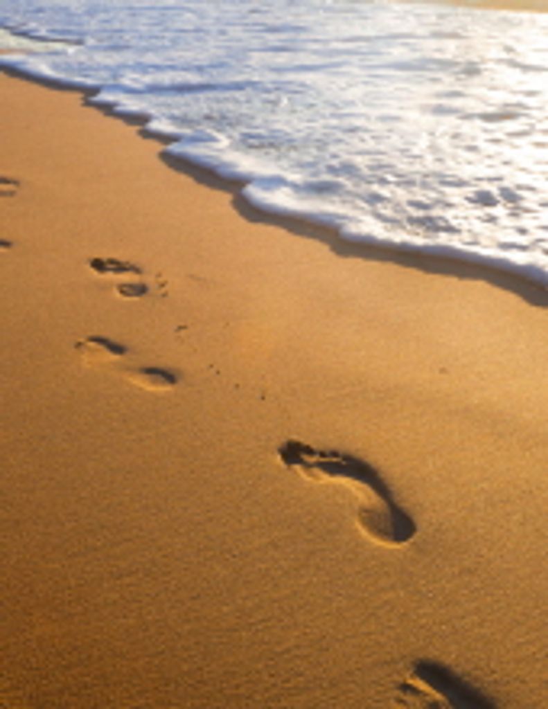 Sylvia Cook Montgomery