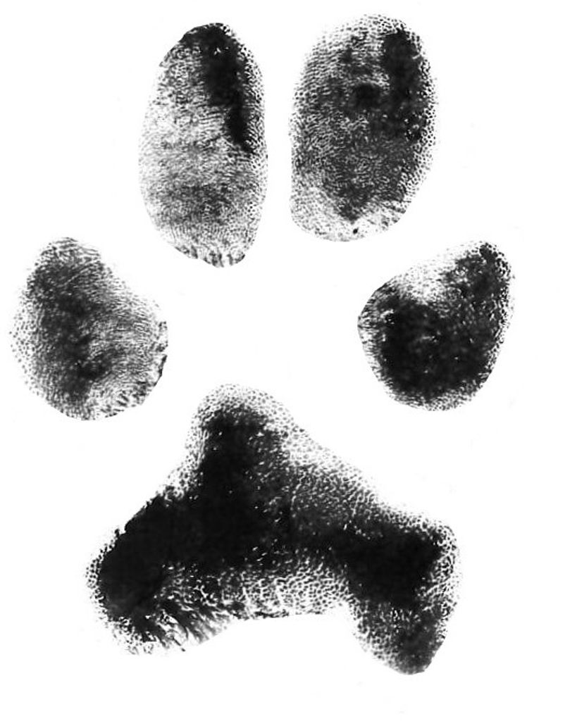 Daisy Angell Profile Photo