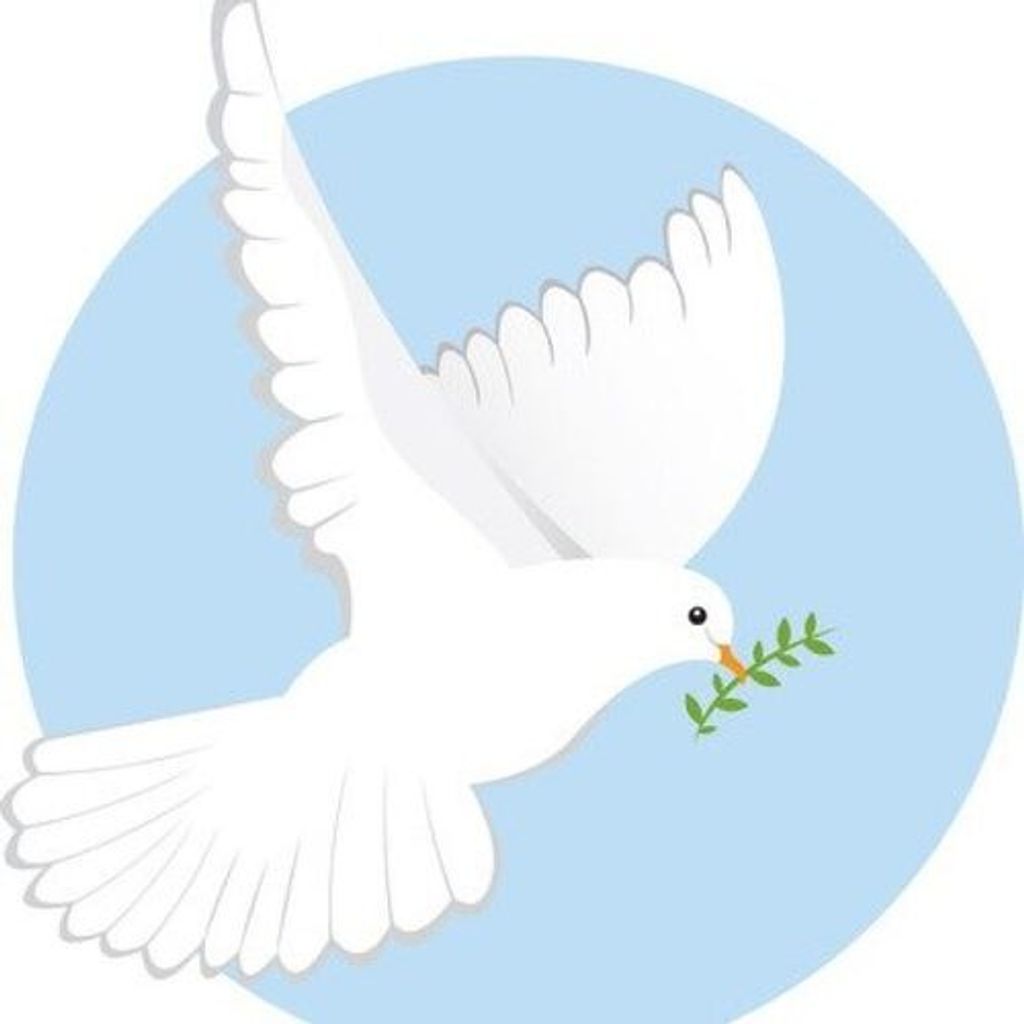 Carl Andrew Eicher Profile Photo